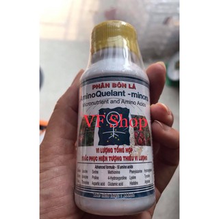 Phân bón vi lượng Amino Minor
