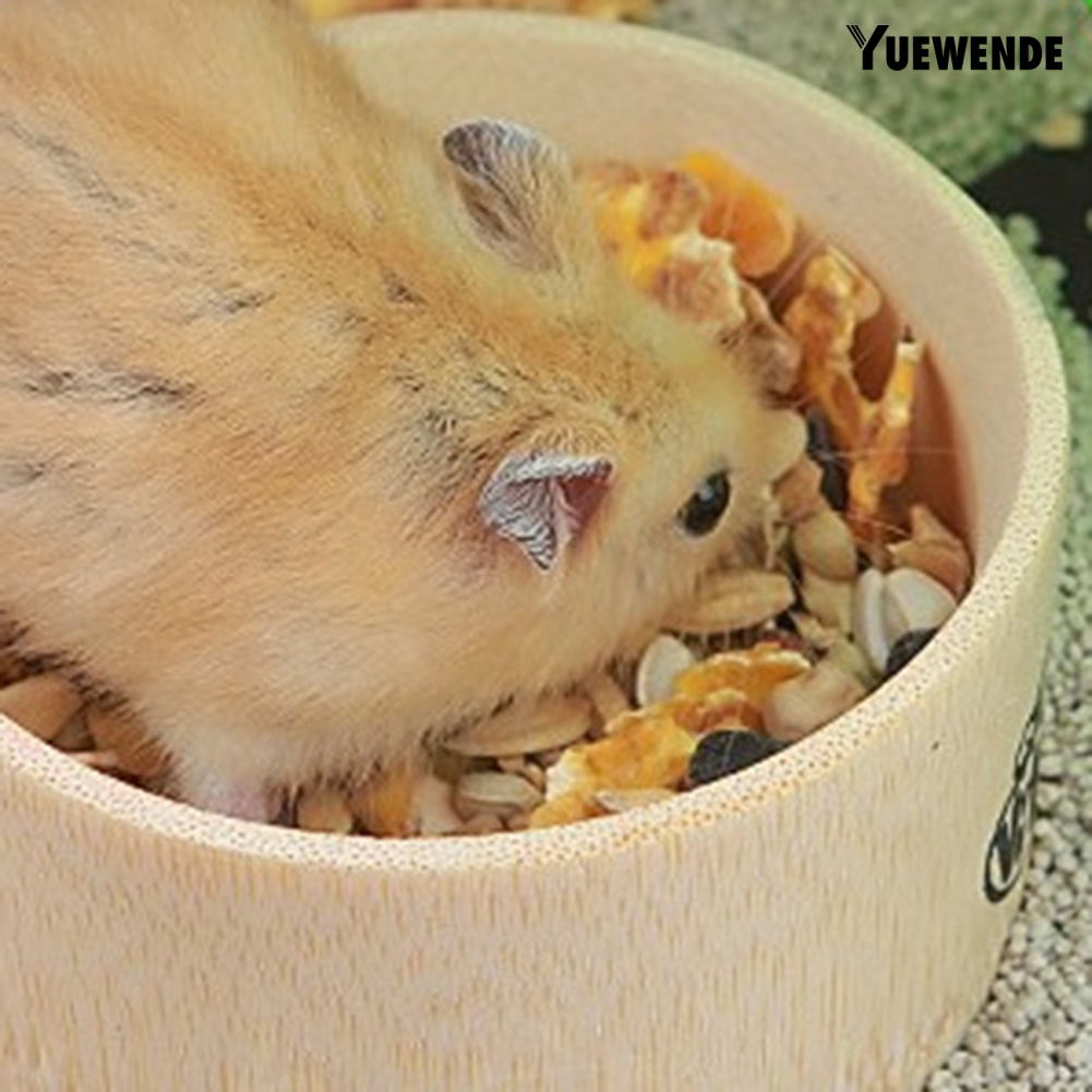 Tô Đựng Thức Ăn Nước Uống Treo Lồng Nuôi Chuột Hamster / Thỏ / Sóc