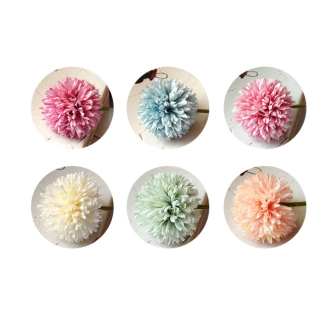 Hoa bồ công anh làm hoa cầm tay cô dâu,decor quán cà phê,backgound chụp hình