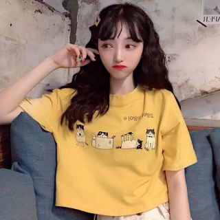 (CÓ QUÀ TẶNG) ÁO CROPTOP form rộng tay lỡ