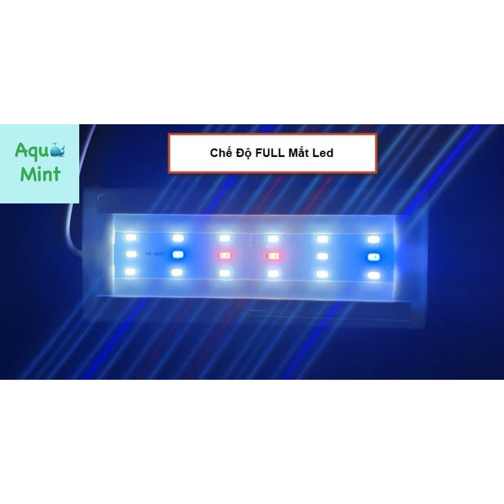 Đèn Led 3 Chế Độ Màu Lebaoyu Bể Cá, Bể Thủy Sinh 20cm,30cm, 40cm