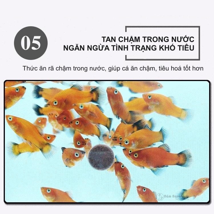 Viên Thức Ăn Dán Dành Cho Cá Cảnh (Viên thịt, Viên rau)