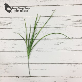 Phụ kiện chụp hình sản phẩm - cỏ dài