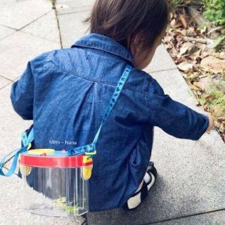 Hộp quan sát côn trùng