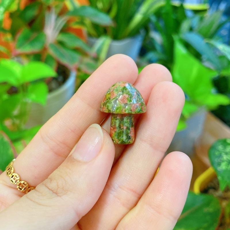 Nấm các loại đá