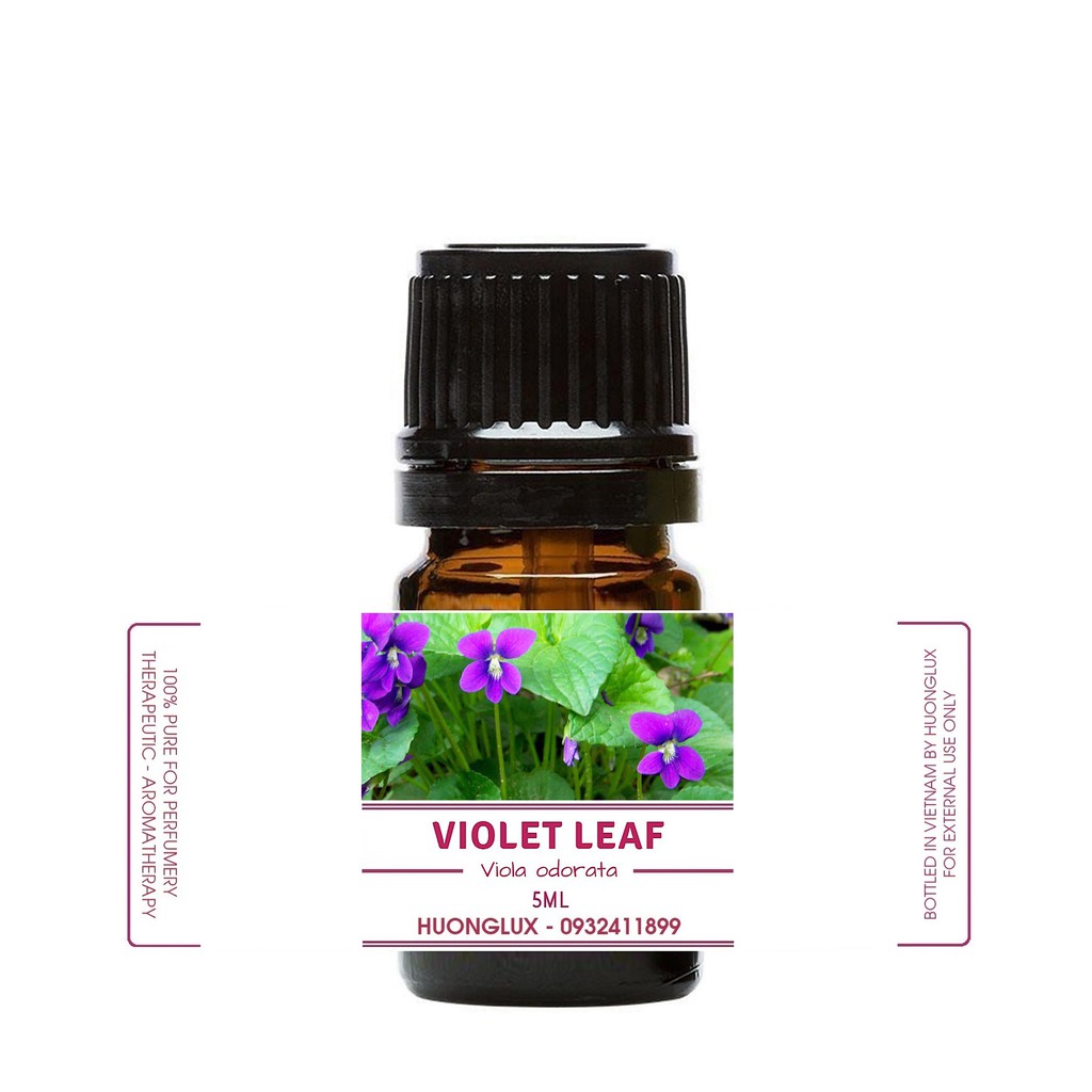 Tinh dầu hoa tím Violet Leaf Essential Oil