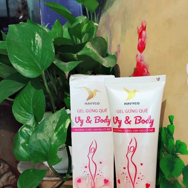 Gel gừng quế Vy&body