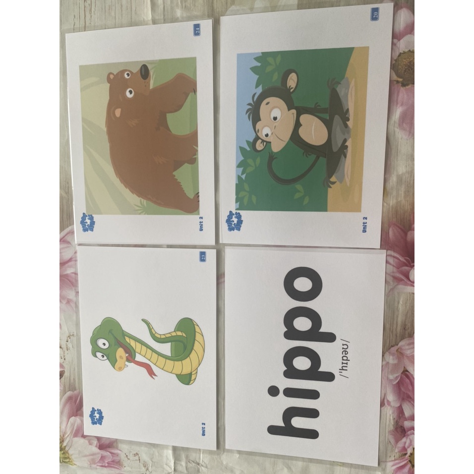 FLASHCARDS SUPER MINDS STATER,1,2 - thẻ A5 ép plastic