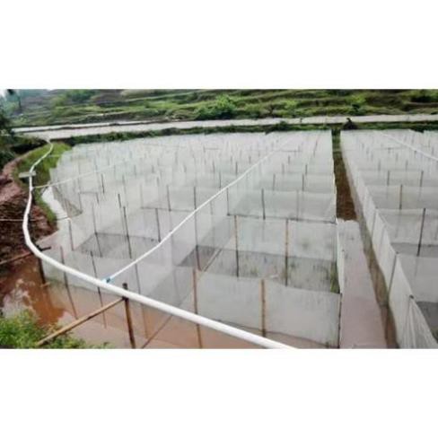 SIÊU RẺ - tráng, lồng, vèo nuôi nhốt cá, ốc , tôm,.. mắt 0,3mm màu trắng cực đẹp 2x2x1 sản phẩm tốt 121