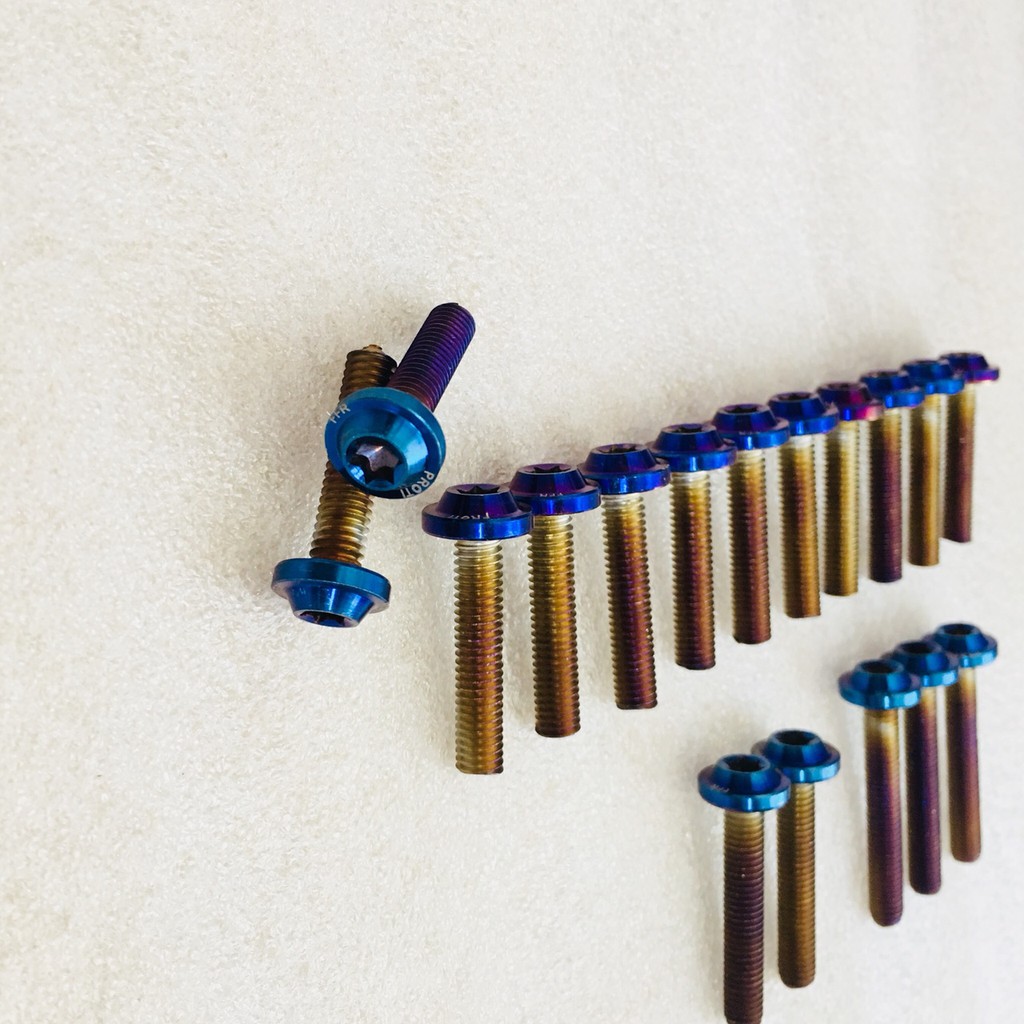 Bộ Ốc Lốc Máy Proti Titan cho WIINER 150 V1 17 con