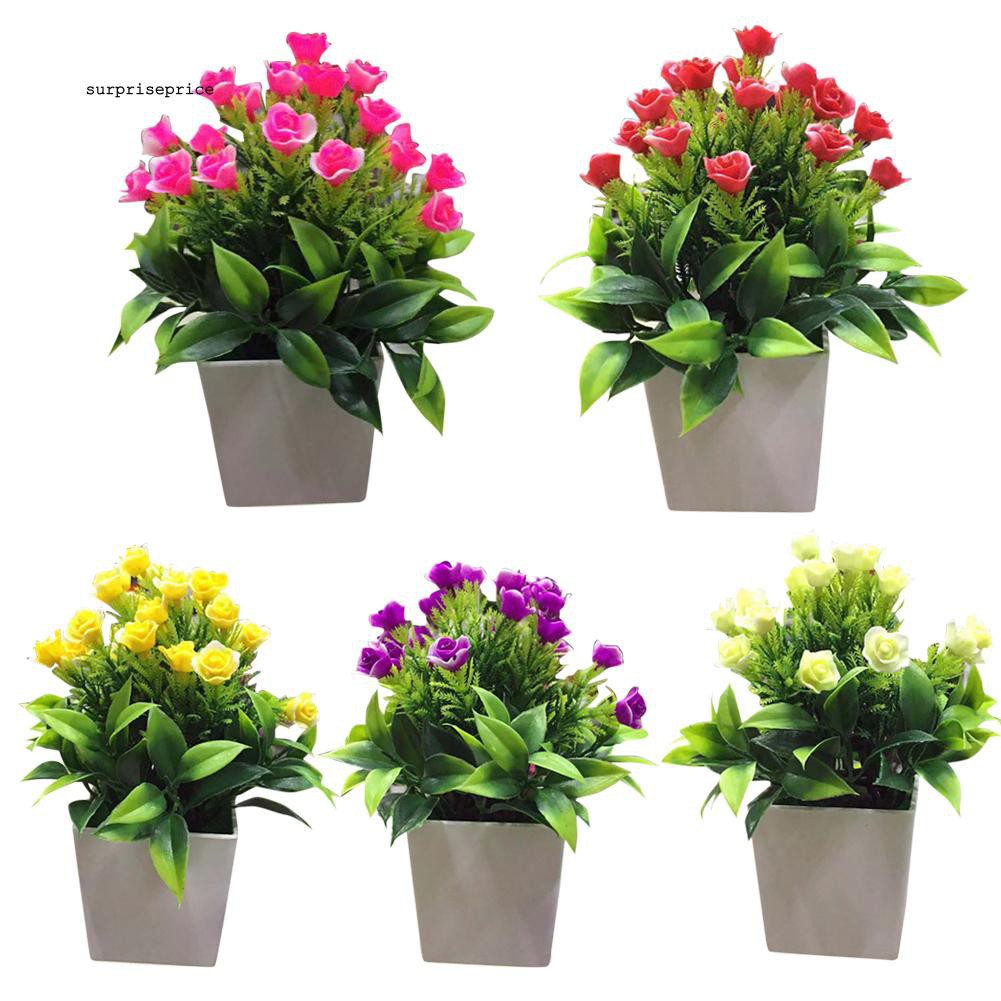 1 chậu hoa bonsai nhân tạo trang trí sân vườn/nhà ở/văn phòng DIY