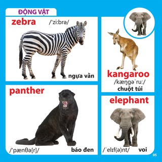 Bách Khoa Toàn Thư Cho Bé - Động Vật