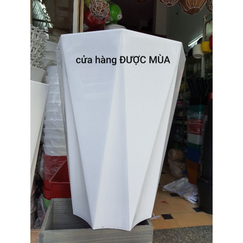 chậu 8 cạnh - chậu kim cương size lớn cao 40cm, đk33cm