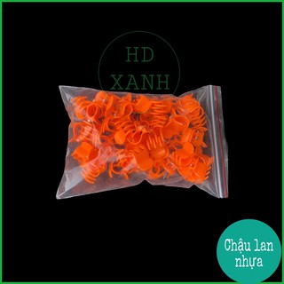 kẹp bướm lan 50 cái ( loại đại)