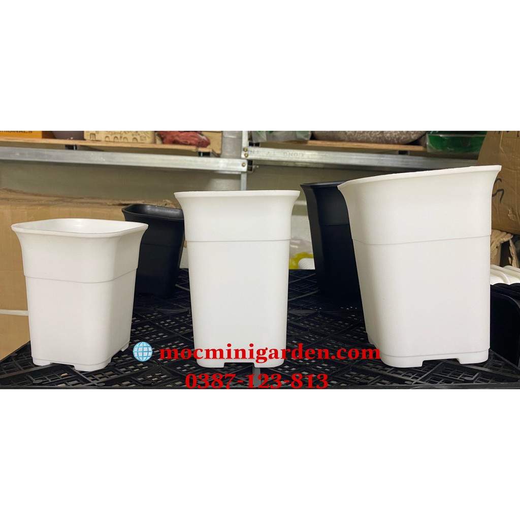 Chậu nhựa cao cấp trồng cây | 3 kích thước | 3 màu | CNV01 || mocminigarden