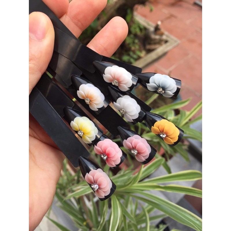 Cúc tầng bột mỹ (hoa bột đẹp ) SHOP NAIL HUYỀN ANH