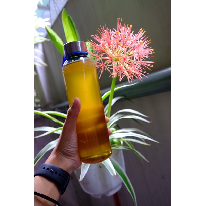 Mật ong rừng thiên nhiên chai nửa lít | BigBuy360 - bigbuy360.vn