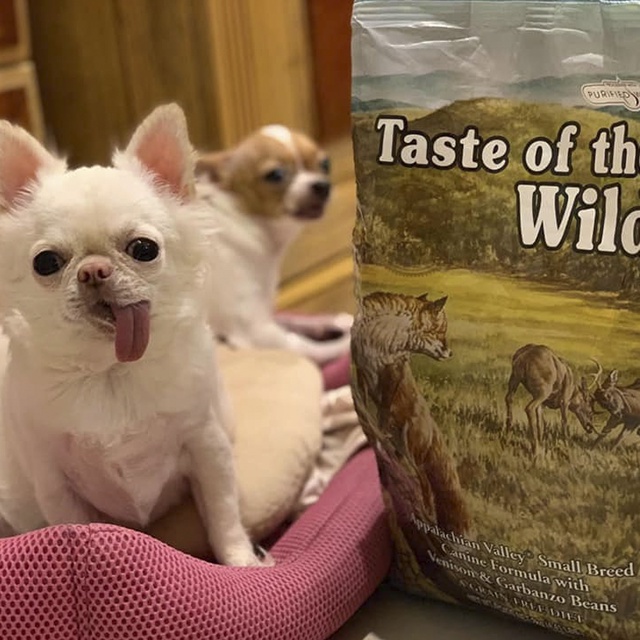 Thức Ăn Cho Chó Pomeranian Taste Of The Wild Bao 500g - Appalachian Valley Thịt Nai &amp; Đậu Garbanzo