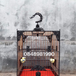 Lót lồng mào