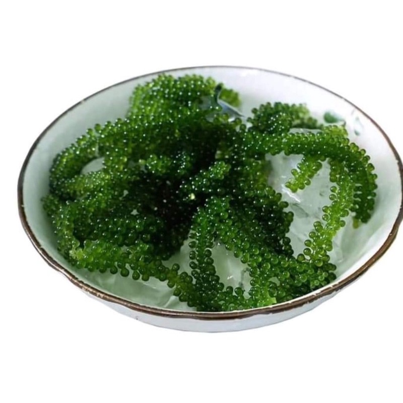 RONG NHO TRƯỜNG THỌ - RONG NHO TÁCH NƯỚC ( 1 gói 20g nở ra 100g) Kèm sốt mè rang