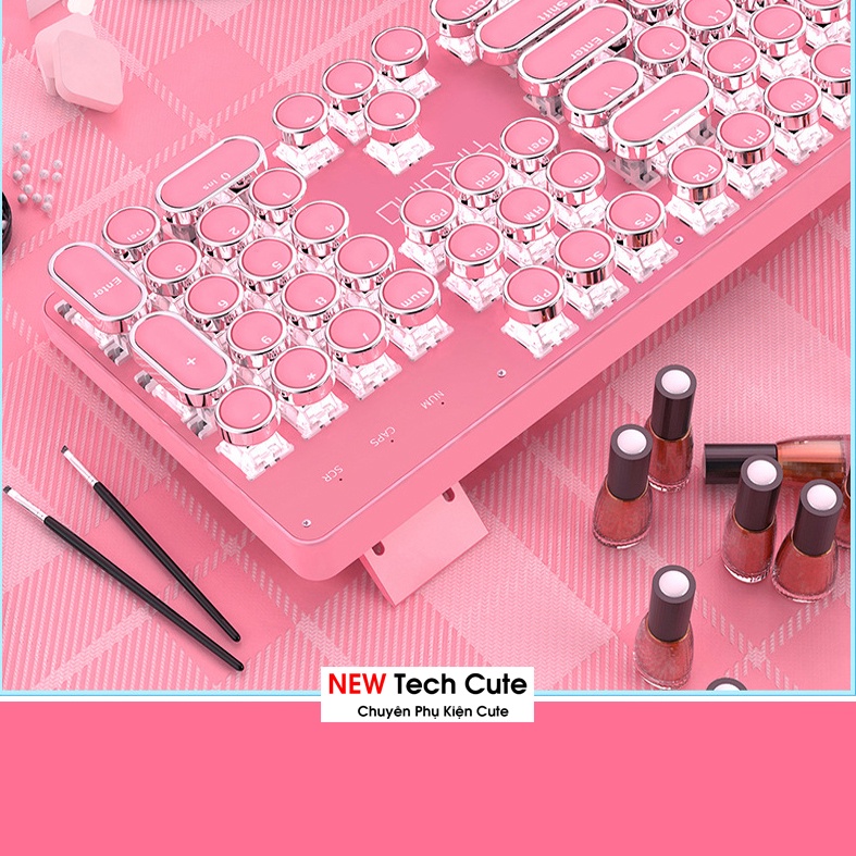 Bàn phím máy tính, bàn phím cơ HỒNG PRO T900 LED 10 Chế Độ, Phím Cơ Blue Gaming Máy Tính, Laptop, PC CHO NAM & NỮ