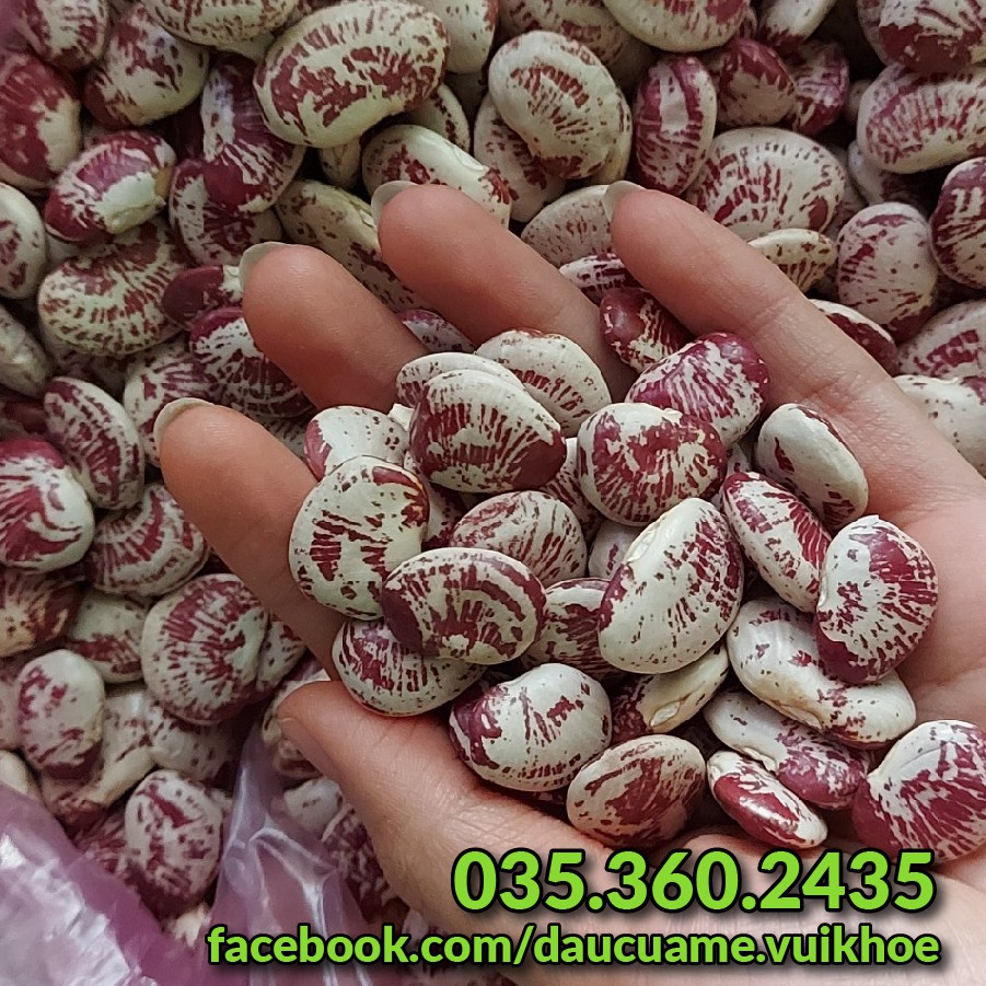 Đậu ngự quê ngon bở