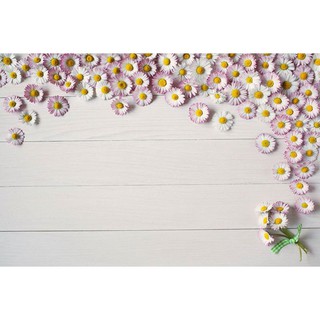 Phông nền 3D chụp ảnh sản phẩm 19972
