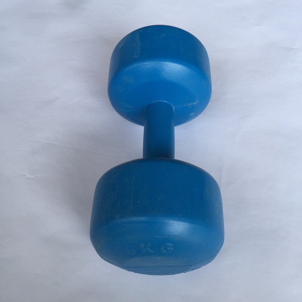 1 cục tạ tay đặc 6kg vỏ nhựa, có ruột là xi-măng non, tập tay, vai, ngực cho nam,tập squat cho nữ