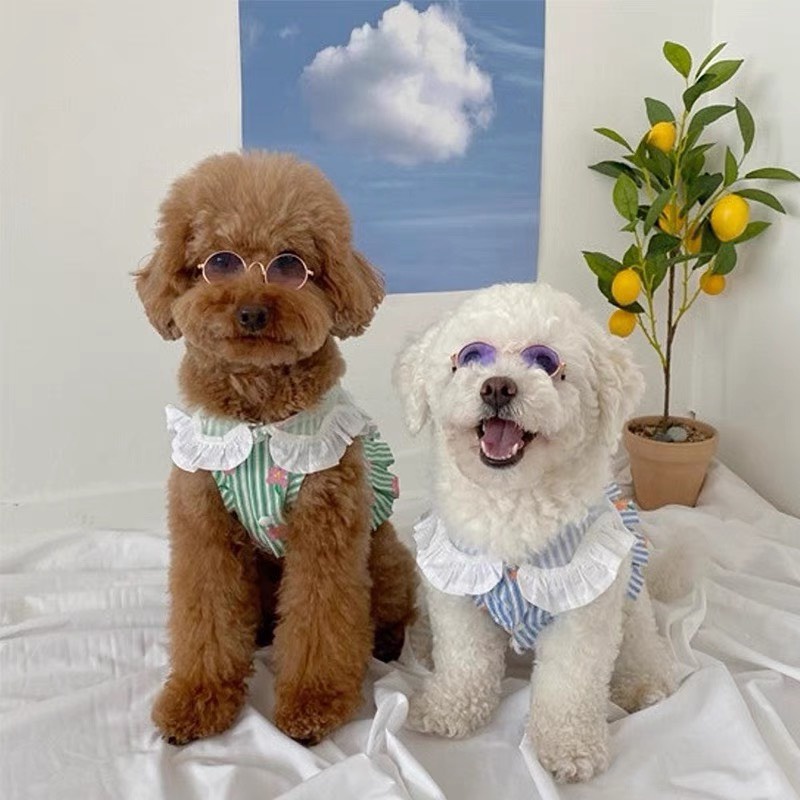 Áo sọc vai bèo họa tiết hoa cho thú cưng