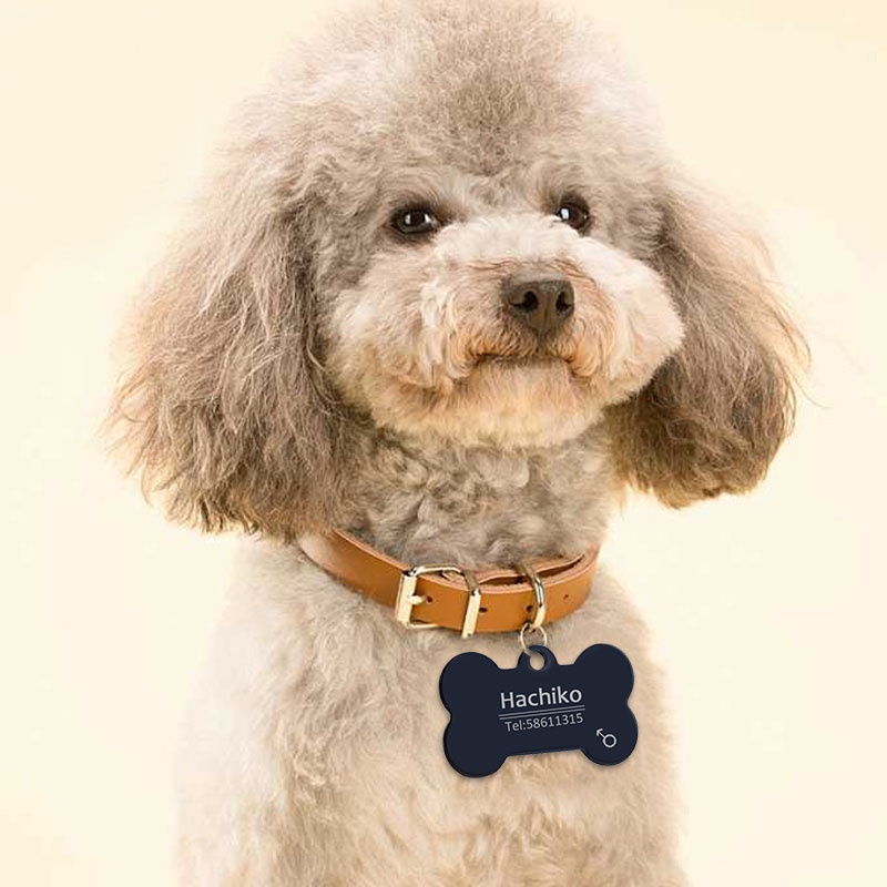 Thẻ tên cho cún cưng/mèo cưng gắn vòng cổ nhiều kiểu dễ thương B1-1