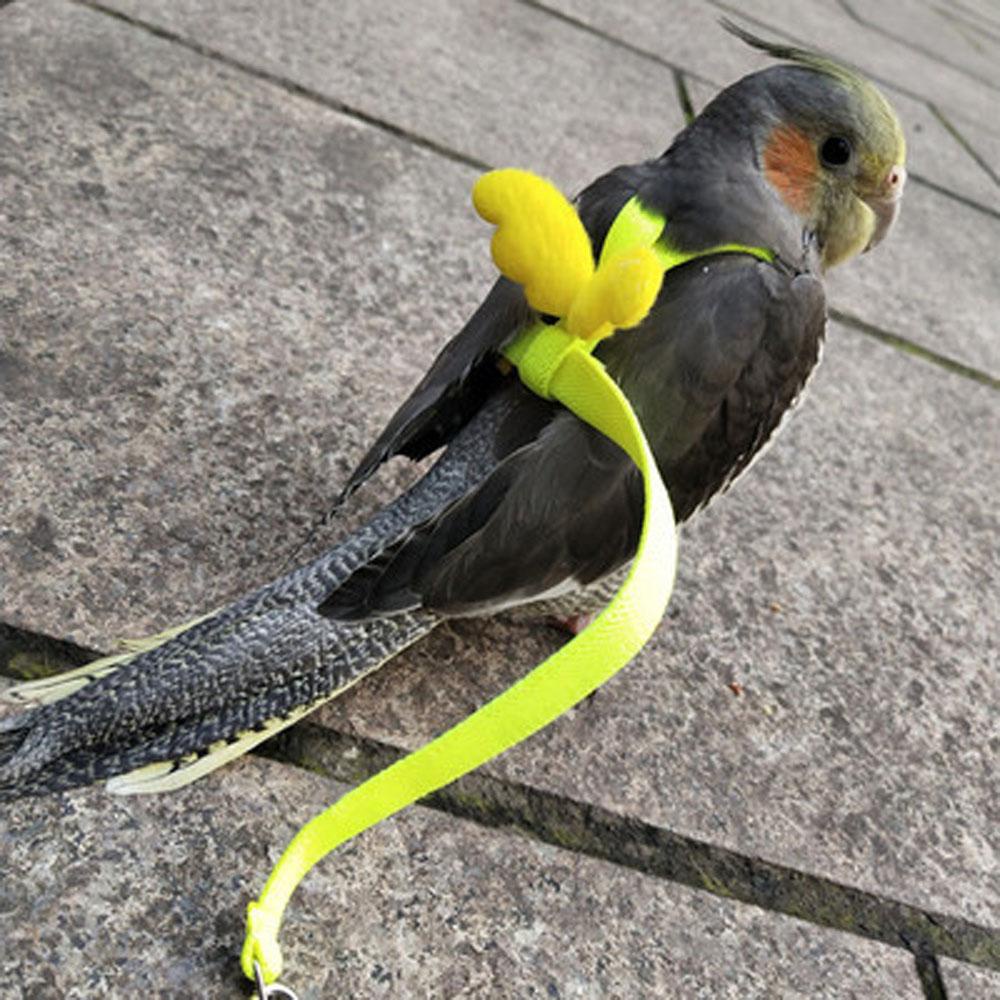 YIYU 1 Dây Dắt Chim Chống Cắn Có Thể Điều Chỉnh Kích Cỡ
