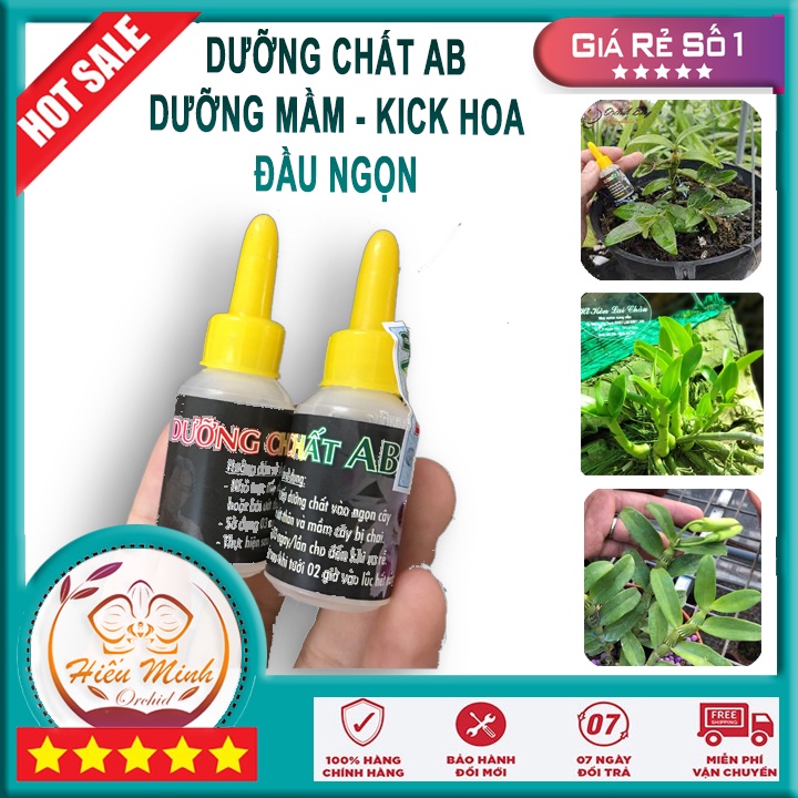Dưỡng Chất AB Kích KEI, Mầm, Phân bón là thuốc, Hoa Lan loại TỐT, làm cho cây cảnh và hạt giống, Bền, Đẹp, X