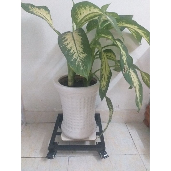 ĐẾ LÓT 30x30x8cm CÓ BÁNH XE CHẬU HOA CÂY CẢNH. KHUNG LÓT ĐA NĂNG. ĐẾ SẮT CHẬU CÂY.