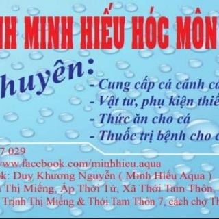 Máy sủi oxy JECOD PA-60