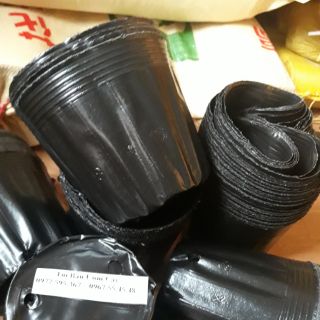 Bầu ươm cây 18x16 1kg khoảng 130 cái