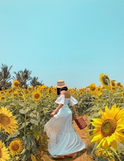 Vali mây làn mây giỏ picnic mây tre đan size to Mây Tre Đan Thủy Khanh