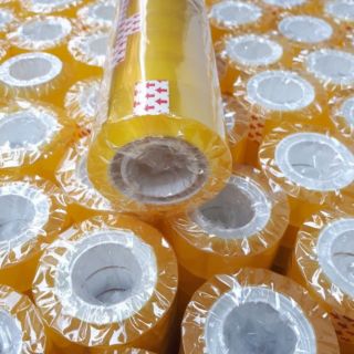 Combo 6 lốc bd vpp 1,2f hoặc 2f nặng 2,5lạng/lốc