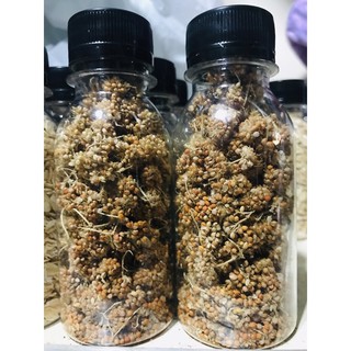 Kê chùm mượt lông đã tuốt sợi cho hamster, chim, sóc,...