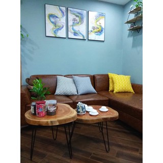 Set bàn gốc cây