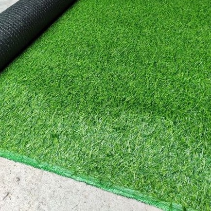 Set 6 mét vuông thảm cỏ nhân tạo sợi 2 cm khổ cắt 2x3m