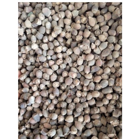 Quả sim ngâm rượu 1kg