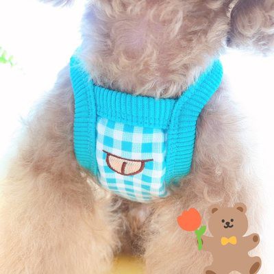 Quần Áo chó mèo thú cưng Kiểu Mới Hàn Quốc kiểu dáng ngắn với băng kem, áo vest quý khách Teddy bibear Bomi yorkshire