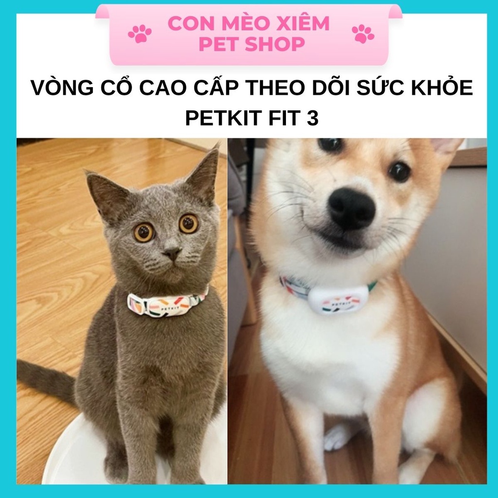 Vòng cổ Petkit cho chó mèo theo dõi sức khỏe Fit 3, phụ kiện công nghệ thú cưng Con Mèo Xiêm