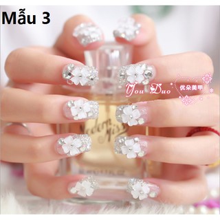 Bộ 10 Móng Giả Cho Nàng Thêm Rực Rỡ
