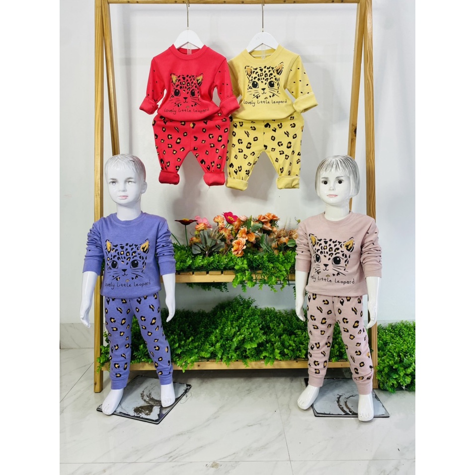 bộ thu đông cotton họa tiết mèo cho bé gái