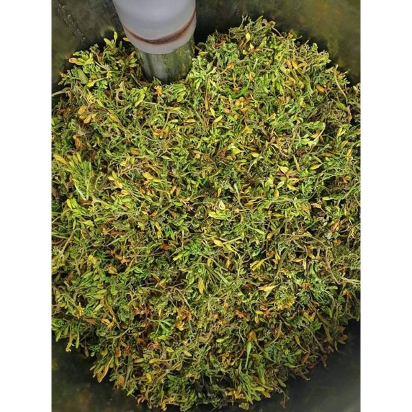 (Giá 100gr -500gr)Hoa đu đủ đực hàng nguyên nụ sấy lạnh xanh .đẹp