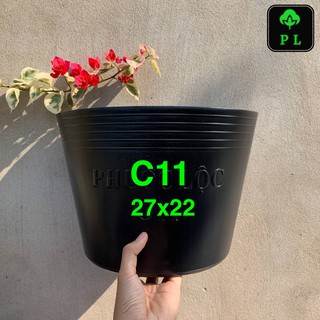 Combo 50 chậu nhựa đen C11 (27x22) hiệu Phước Lộc.
