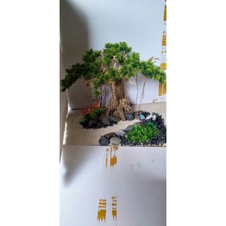 Bonsai hồ cá (gỗ lũa ) có 2mẫu