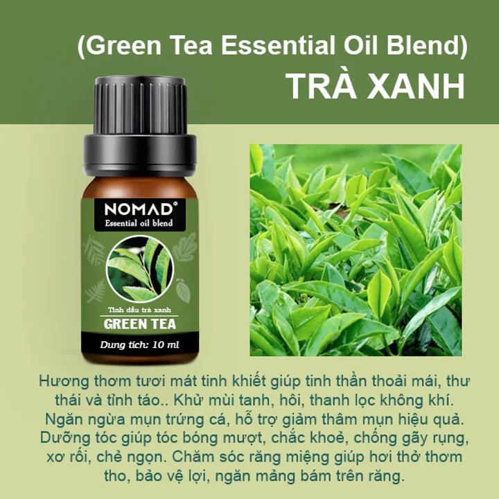 Tinh Dầu Trà Xanh Nomad Essential Oil Blend khử mùi, thanh lọc không khí - Green Tea