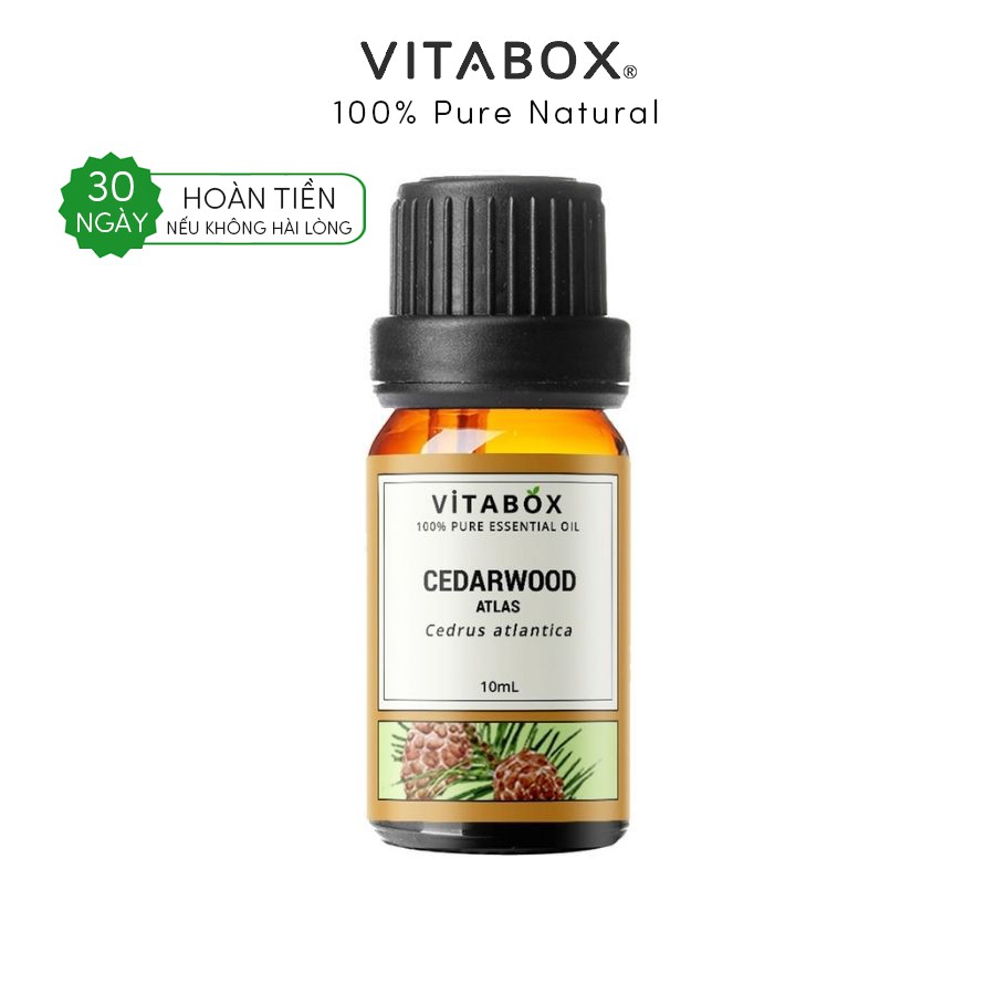Vitabox - Tinh Dầu Gỗ Hoàng Đàn (Cedarwood Atlas) - 100% Thiên Nhiên Nguyên Chất - Natural Essential Oil